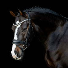 SD MYSTERY BRIDLE