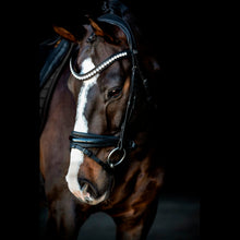 SD MYSTERY BRIDLE