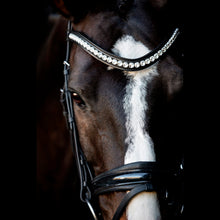 SD MYSTERY BRIDLE