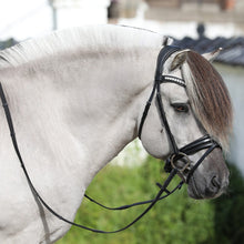 SD MYSTERY BRIDLE
