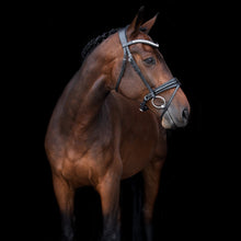 SD MYSTERY BRIDLE