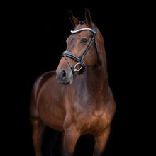 SD MYSTERY BRIDLE