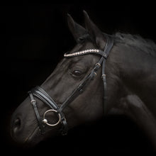SD MYSTERY BRIDLE