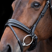 SD MYSTERY BRIDLE