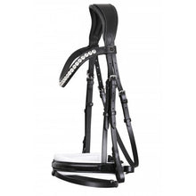 SD MYSTERY BRIDLE