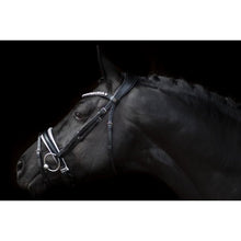 SD MYSTERY BRIDLE