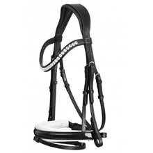 SD MYSTERY BRIDLE
