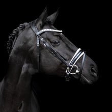SD MYSTERY BRIDLE