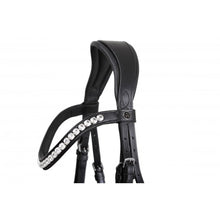 SD MYSTERY BRIDLE