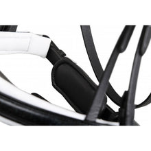 SD MYSTERY BRIDLE