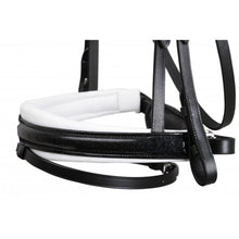 SD MYSTERY BRIDLE