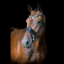 SD Millennium Bridle