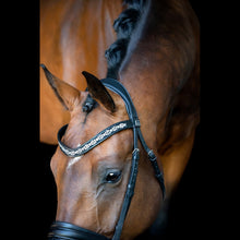 SD Millennium Bridle