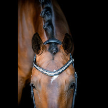 SD Millennium Bridle