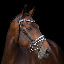 SD Millennium Bridle