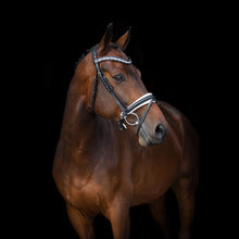 SD Millennium Bridle