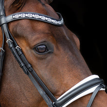 SD Millennium Bridle