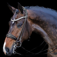 SD Belissimo Rolled Double Bridle