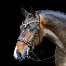SD Celebrity Double Bridle