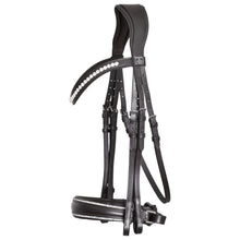 SD Celebrity Double Bridle