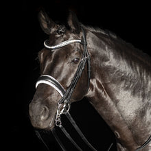 SD Celebrity Double Bridle