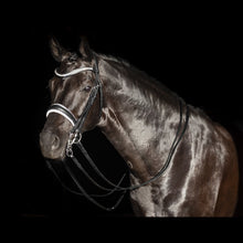 SD Celebrity Double Bridle
