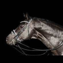 SD Celebrity Double Bridle