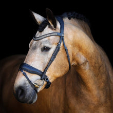 SD Bijou Bridle