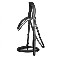 SD LEEROX BRIDLE