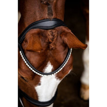 SD LEEROX BRIDLE
