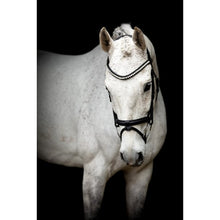 SD LEEROX BRIDLE