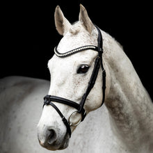 SD LEEROX BRIDLE