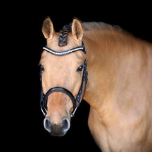 SD LEEROX BRIDLE