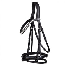 SD LEEROX BRIDLE