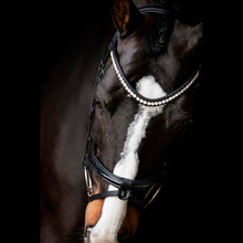 SD LEEROX BRIDLE