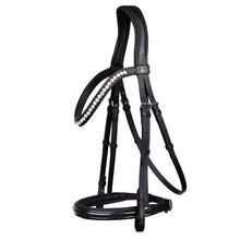 SD LEEROX BRIDLE