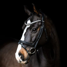 SD LEEROX BRIDLE