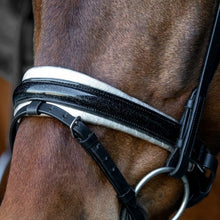 SD MYSTERY BRIDLE