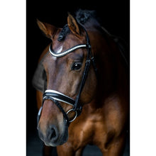 SD MYSTERY BRIDLE