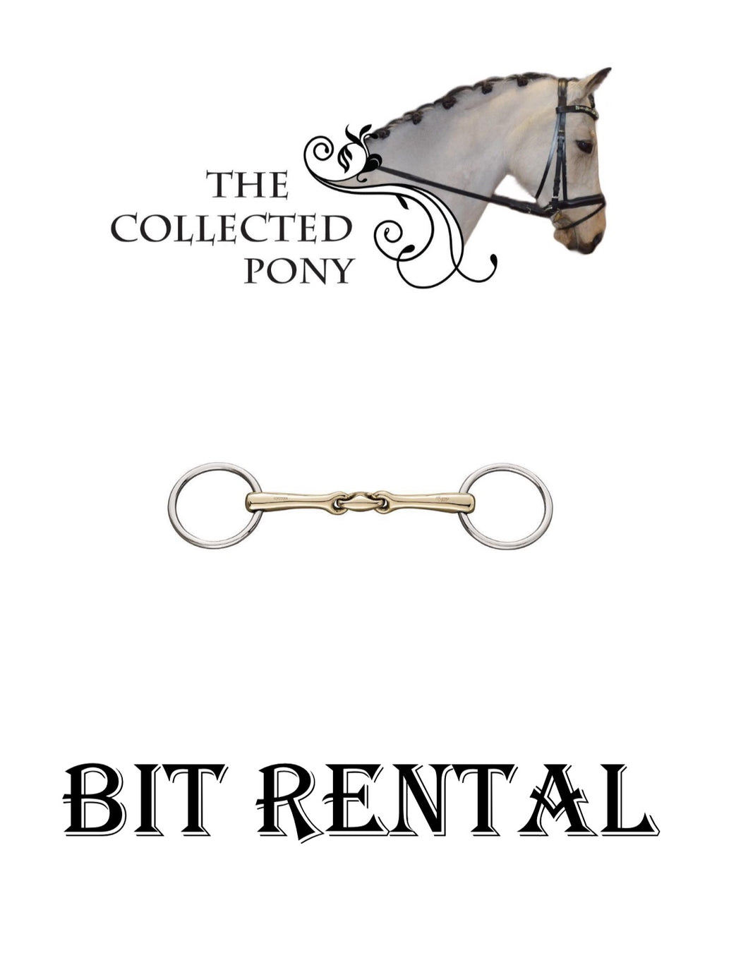Bit Rental Program