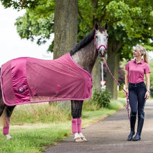 Cavallo Honora Fly Sheet