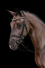 Schockemohle Palermo Bridle