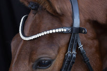 Schockemohle SP Siena Browband
