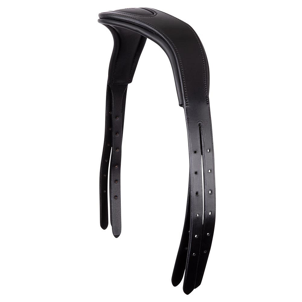 BR Headpiece Anatomic Fit
