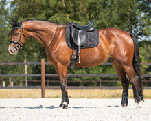 QHP Dressage Pad Djune