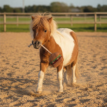 QHP Horse Toy Snackcounter