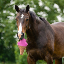QHP Horse Toy Snackcounter