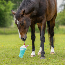 QHP Horse Toy Snackcounter