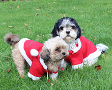 QHP Christmas Dog Coat