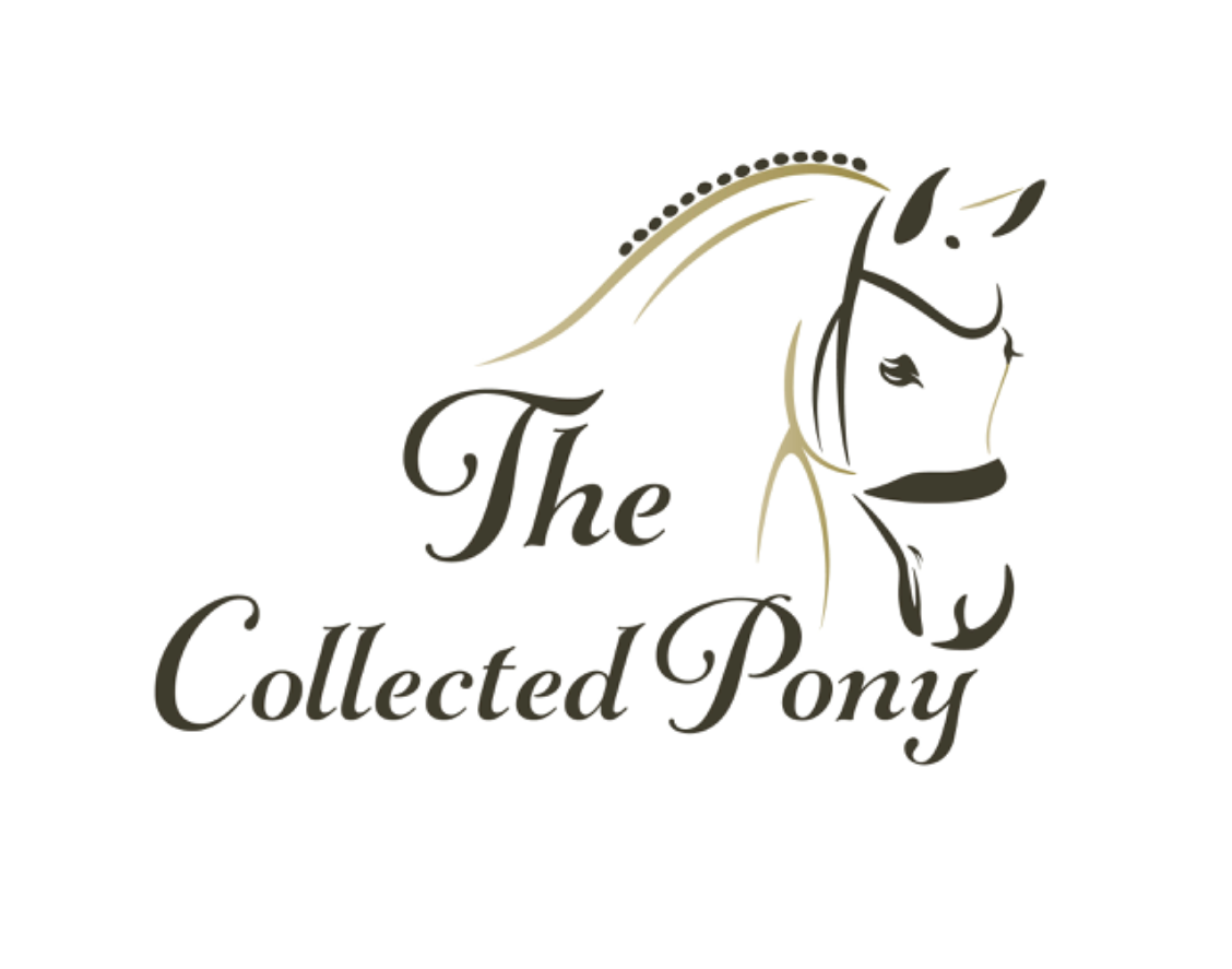 Waldhausen Fleece Bandages The Collected Pony waldhausen-fleece-bandages-the-collected-pony